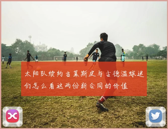 太阳队续约吉莱斯皮与古德温球迷们怎么看这两份新合同的价值