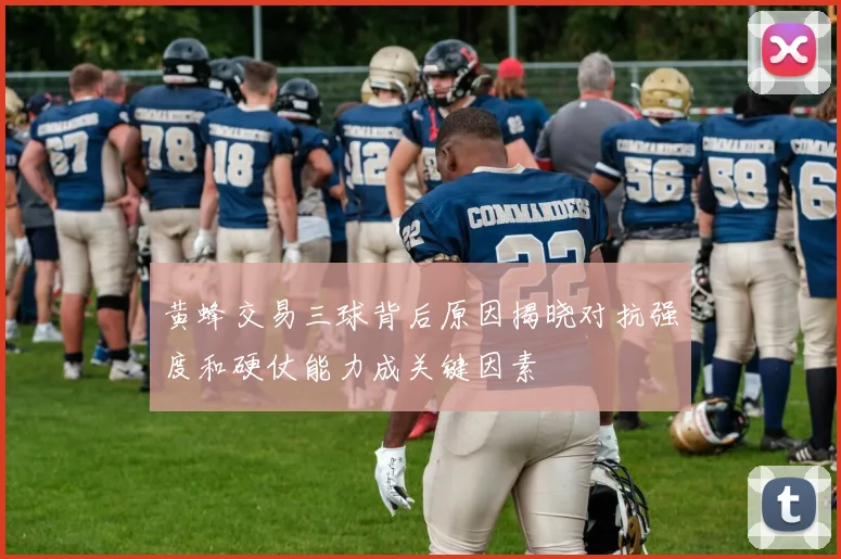 黄蜂交易三球背后原因揭晓对抗强度和硬仗能力成关键因素