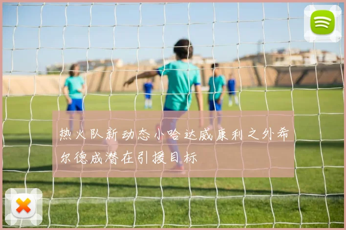 热火队新动态小哈达威康利之外希尔德成潜在引援目标
